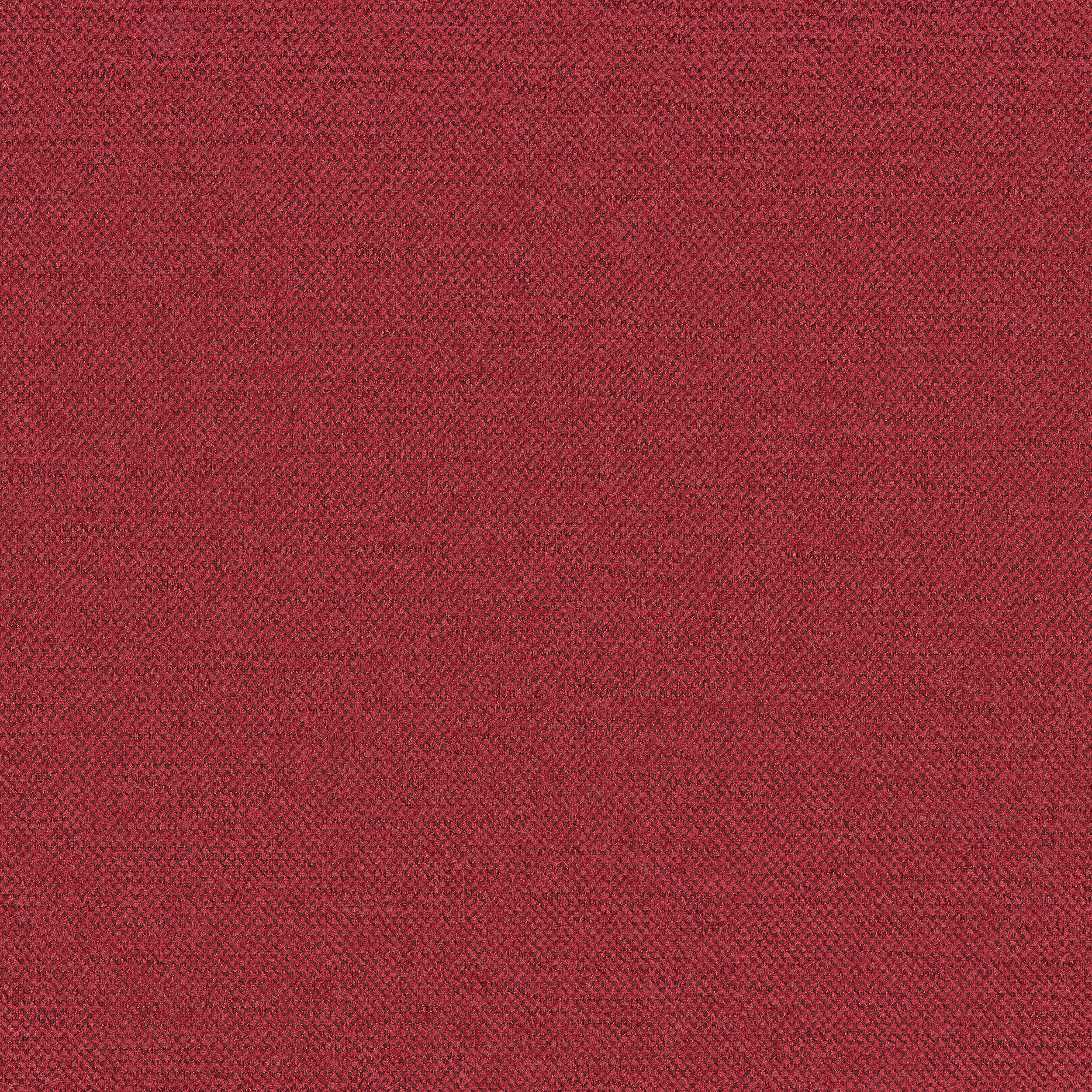 Living 162-50 bordo
